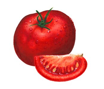 Marker illustrations Free illustrations