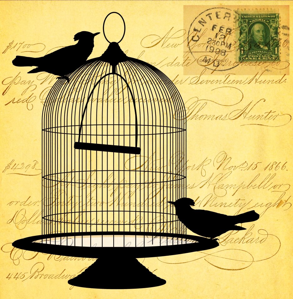 Birds birdcage cage
