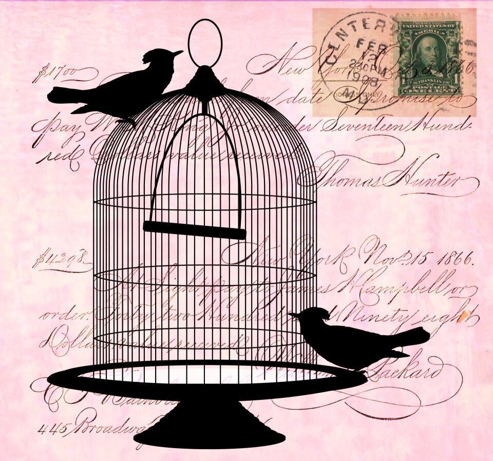 Silhouette birdcage cage