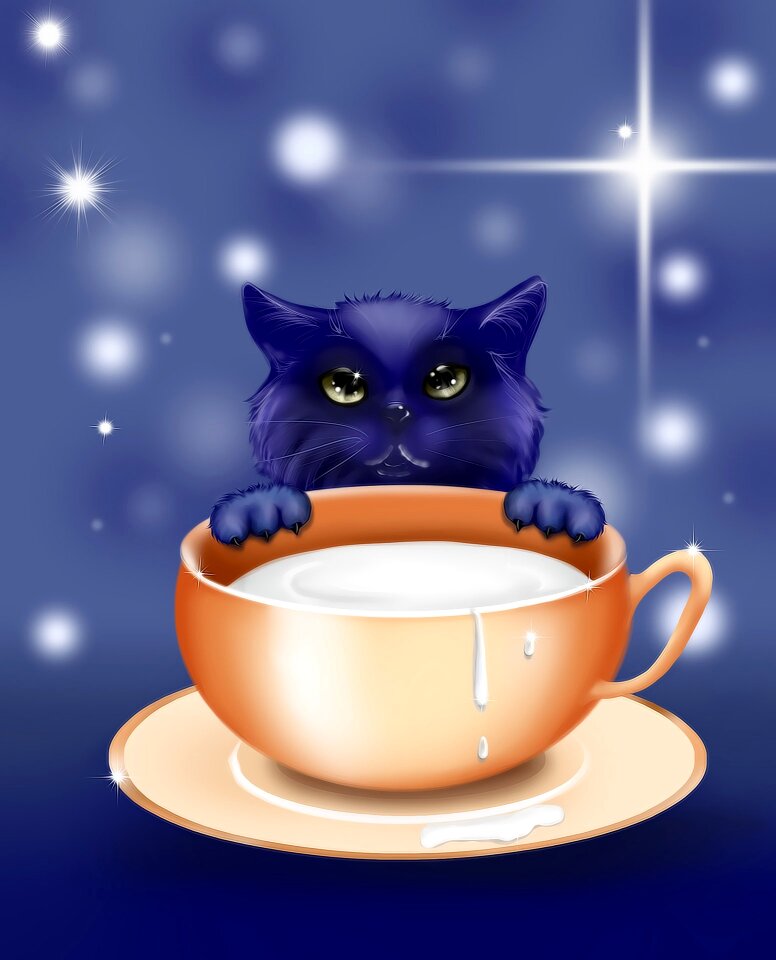 Design animals card