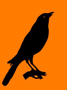 Black logo shape