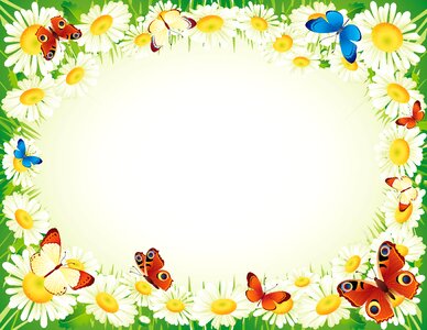 Butterfly flower Free illustrations