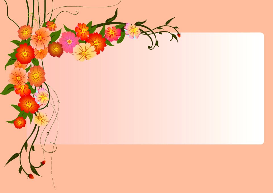 Pink flowers Free illustrations