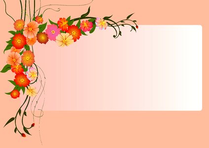 Pink flowers Free illustrations