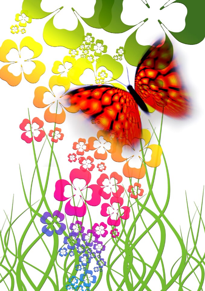 Greeting card flowers colorful