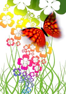 Greeting card flowers colorful