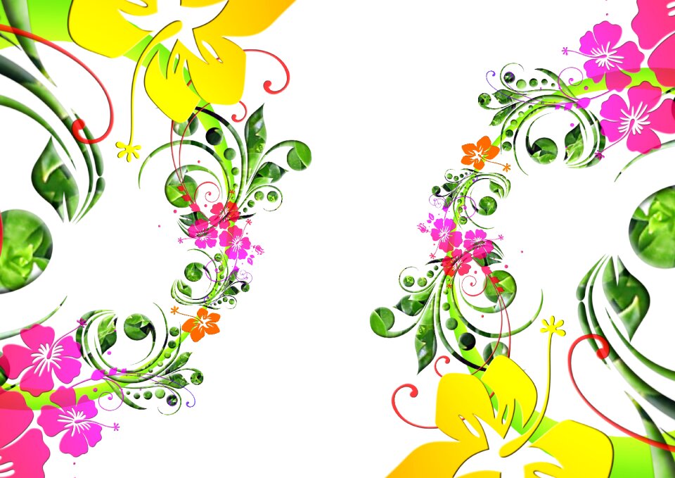 Pattern blossom bloom
