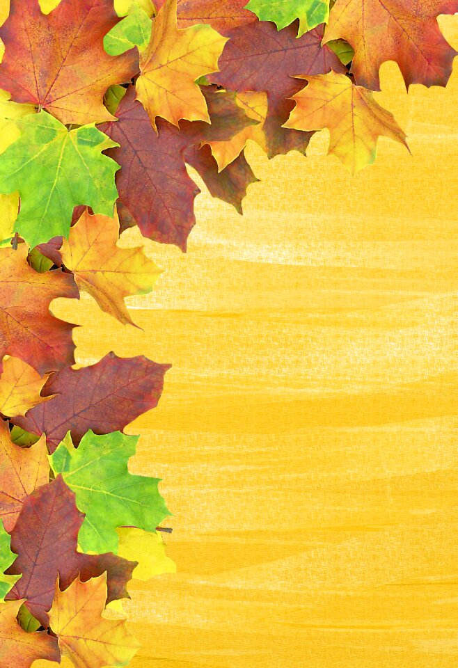 Emerge stationery colorful