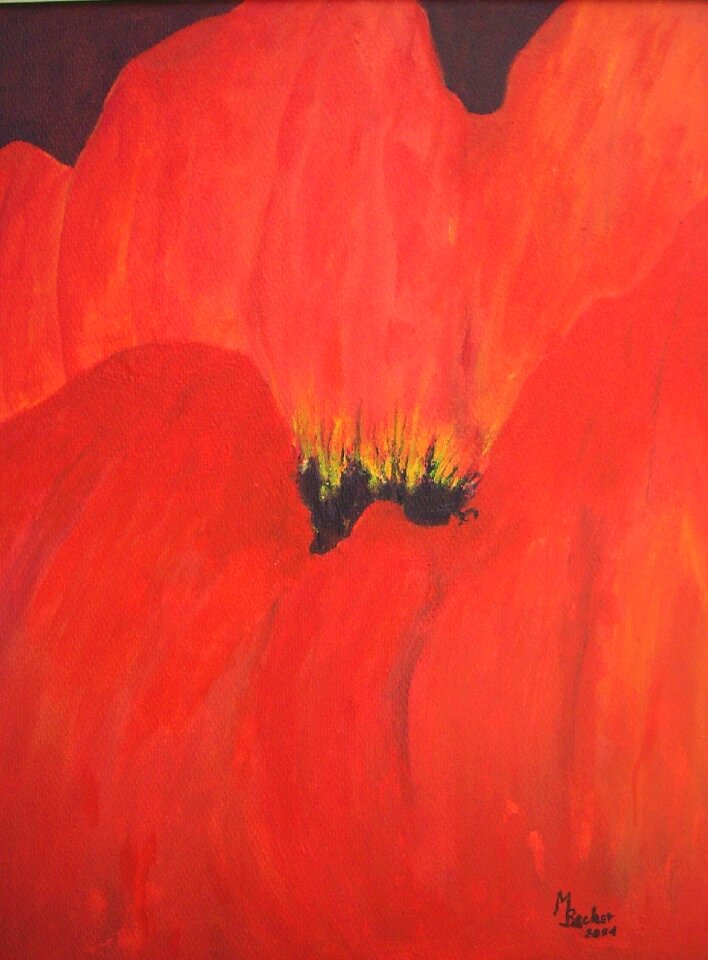 Image art paint
