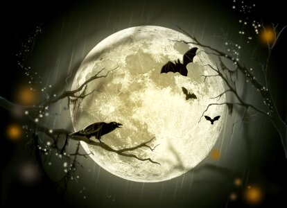 Fairy tale moon crow