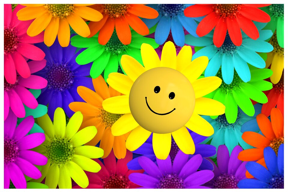 Garden colorful fartbig