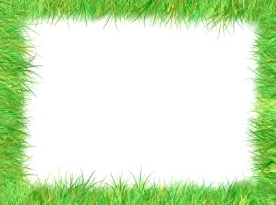 Grass meadow halme