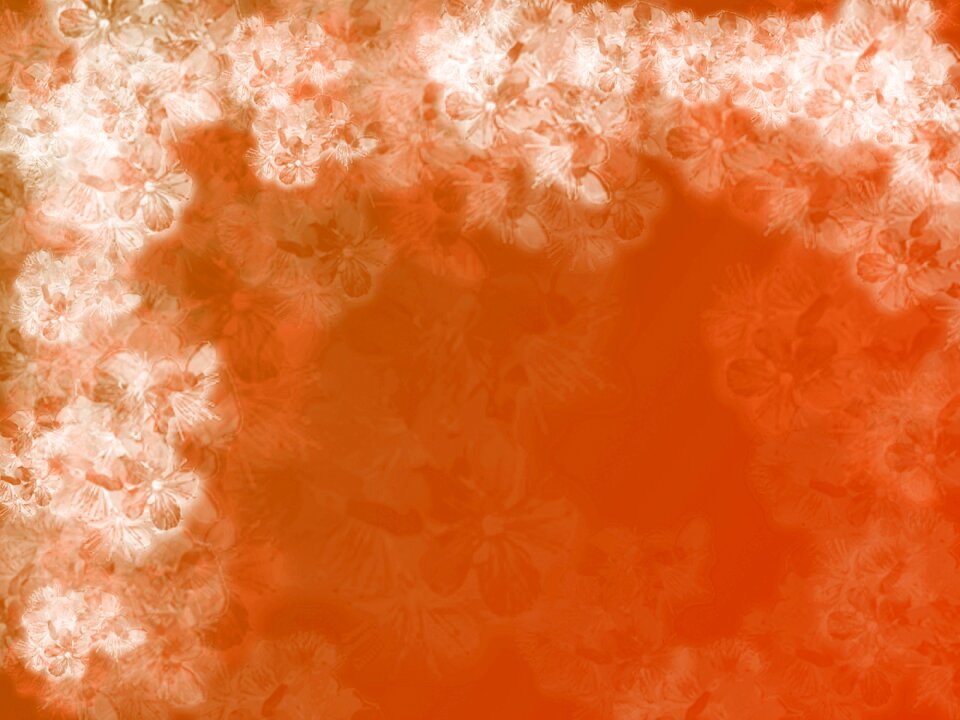 Easter orange Free illustrations