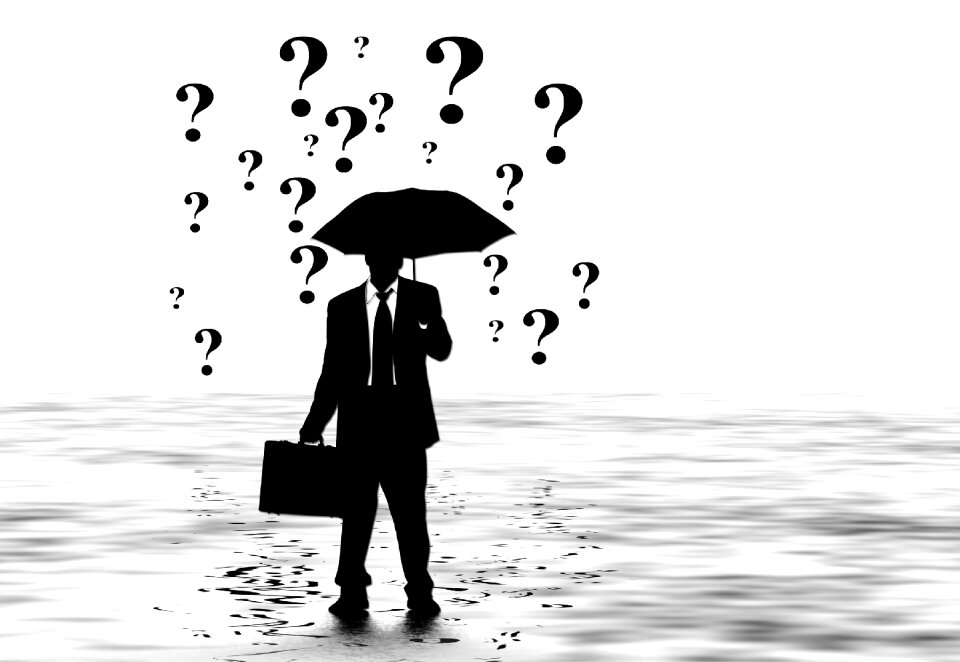 Umbrella screen business
