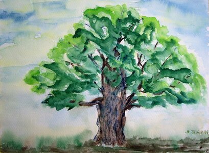 Art paint color