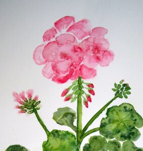 Bloom painting image