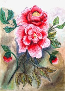 Image art paint