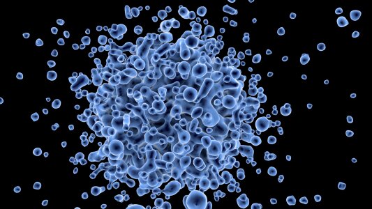 Infection gene analysis increase