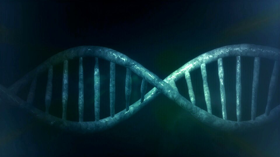 Structure cell background