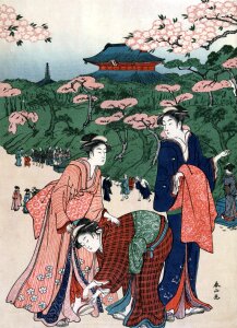 Women ladies kimono
