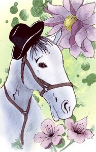 Spring animal Free illustrations