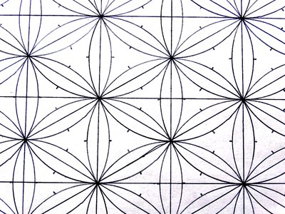 Floral design pattern lines