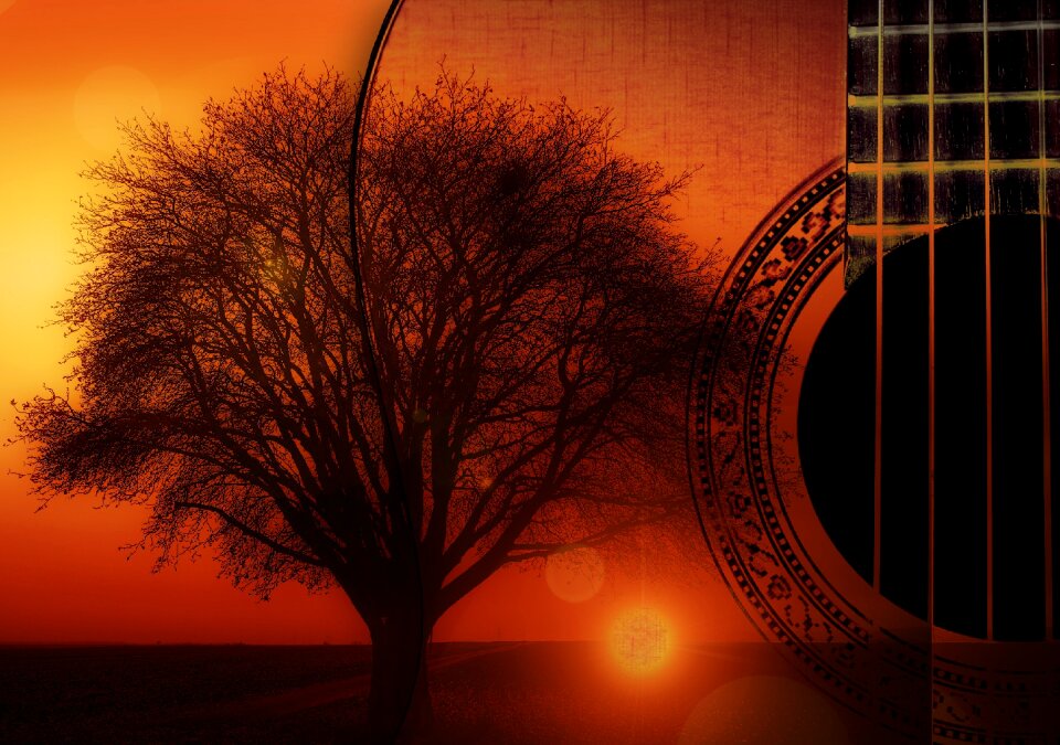 Music wood musical