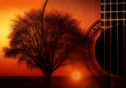 Music wood musical