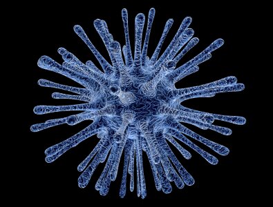 Disease infectious disease illness