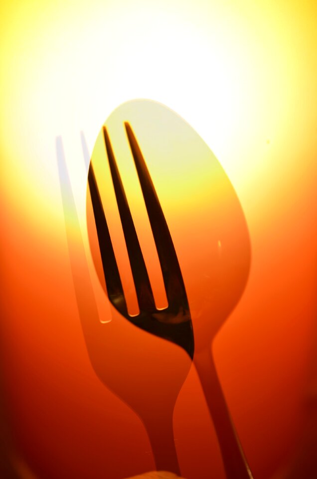 Food cover kitchen