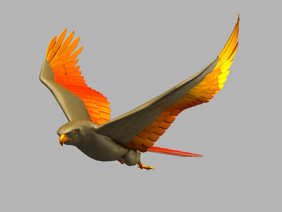 Wings creative colourful