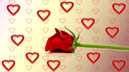 Valentine's day red romance
