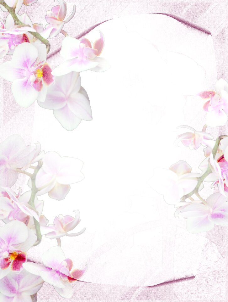 Background tender floral