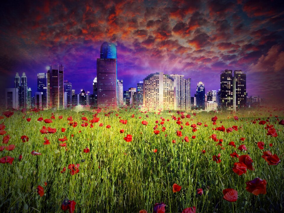 Nature city skyline