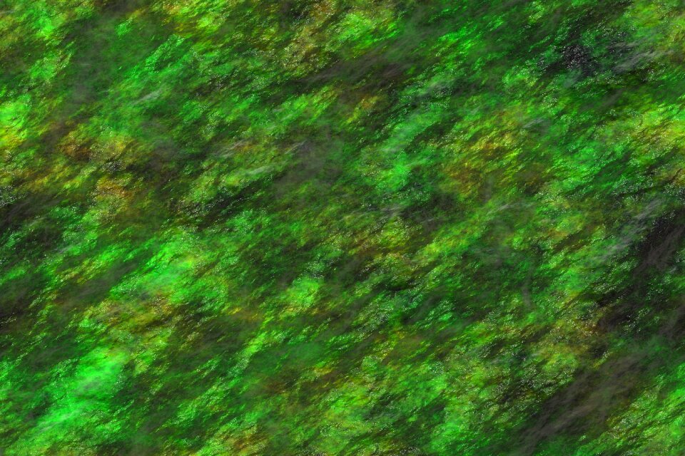 Green moss texture