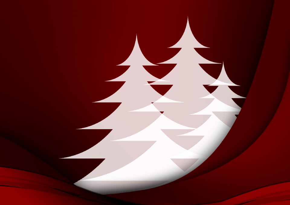 White red fir tree