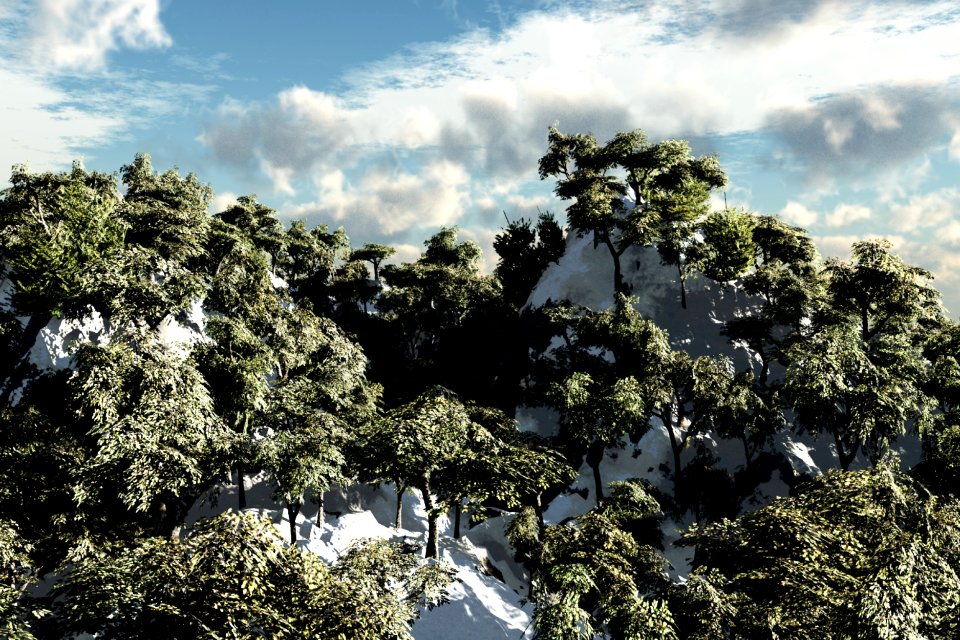 Ice frost forest