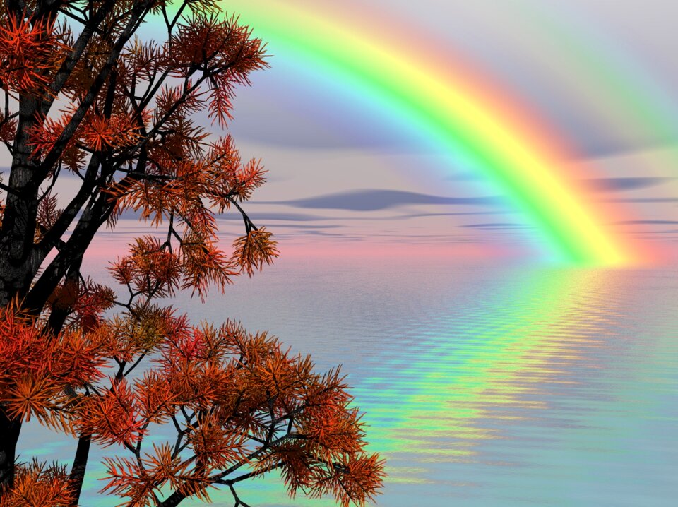 Colors sea ocean