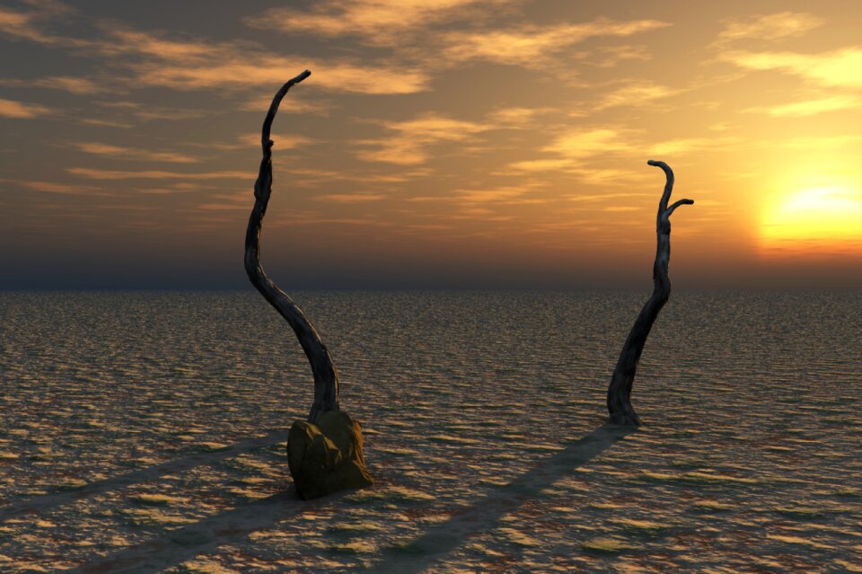 Barren land dry