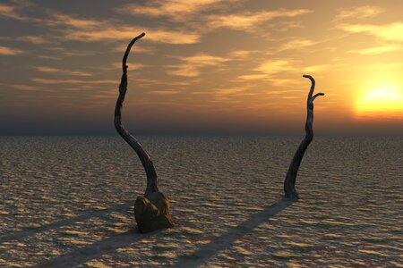 Barren land dry