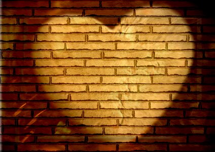 Spotlight valentine valentine's day