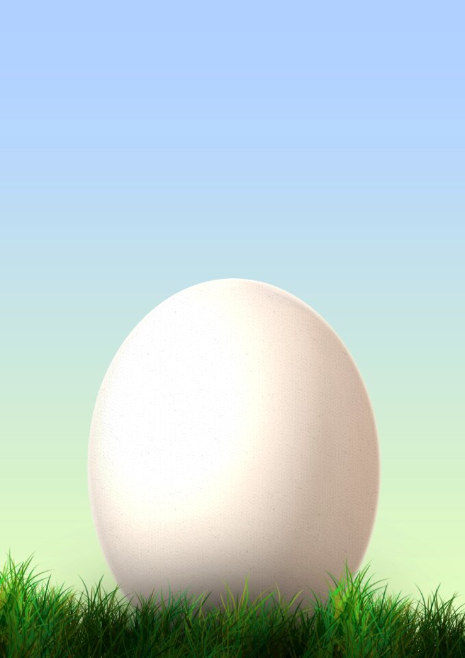 Meadow easter egg food
