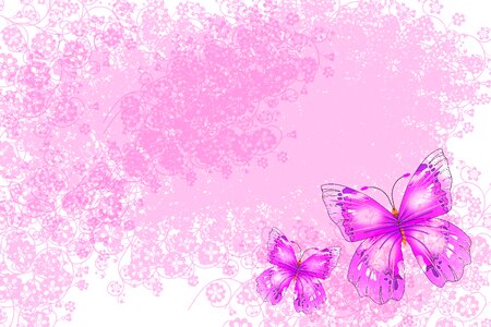 Background pink Free illustrations