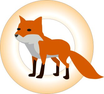 Circle wild orange