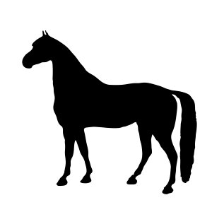 Racehorse black silhouette