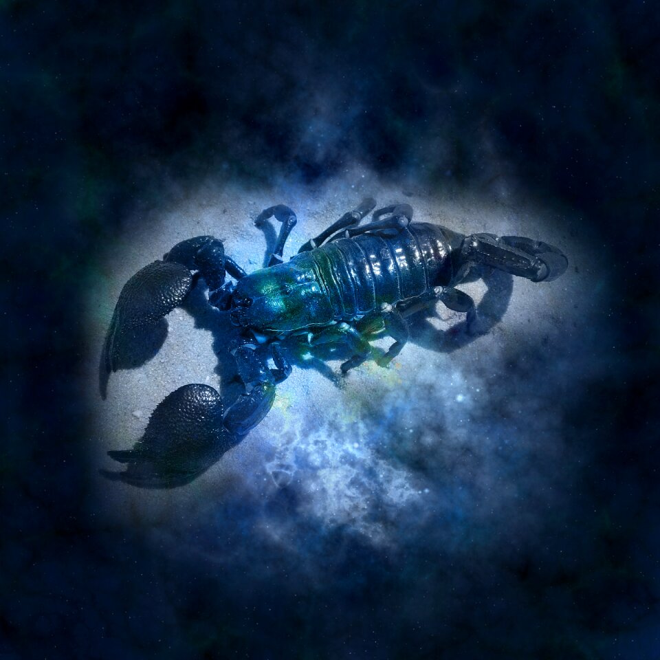 Cancer icon images signs of the zodiac
