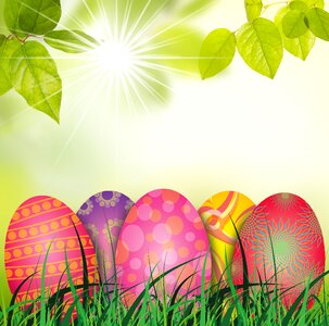 Egg painted colorful