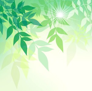 Light branches plant