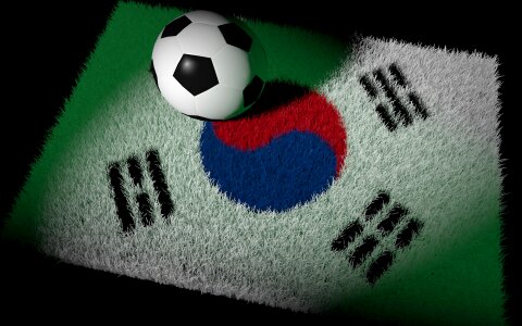 World cup national colours football match