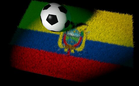 World championship national colours football match